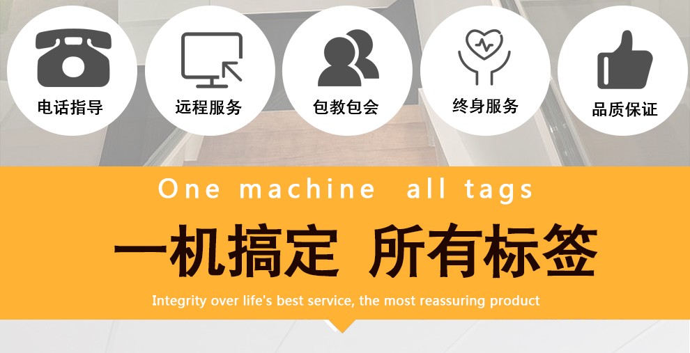 TSC TTP-244Pro 啞銀紙條碼打印機